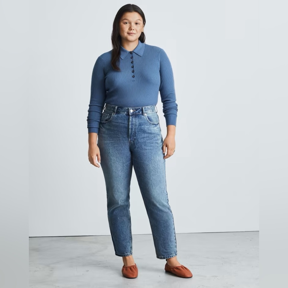 Everlane The Curvy ’90s Cheeky Straight Leg Jeans Size 28 NWOT